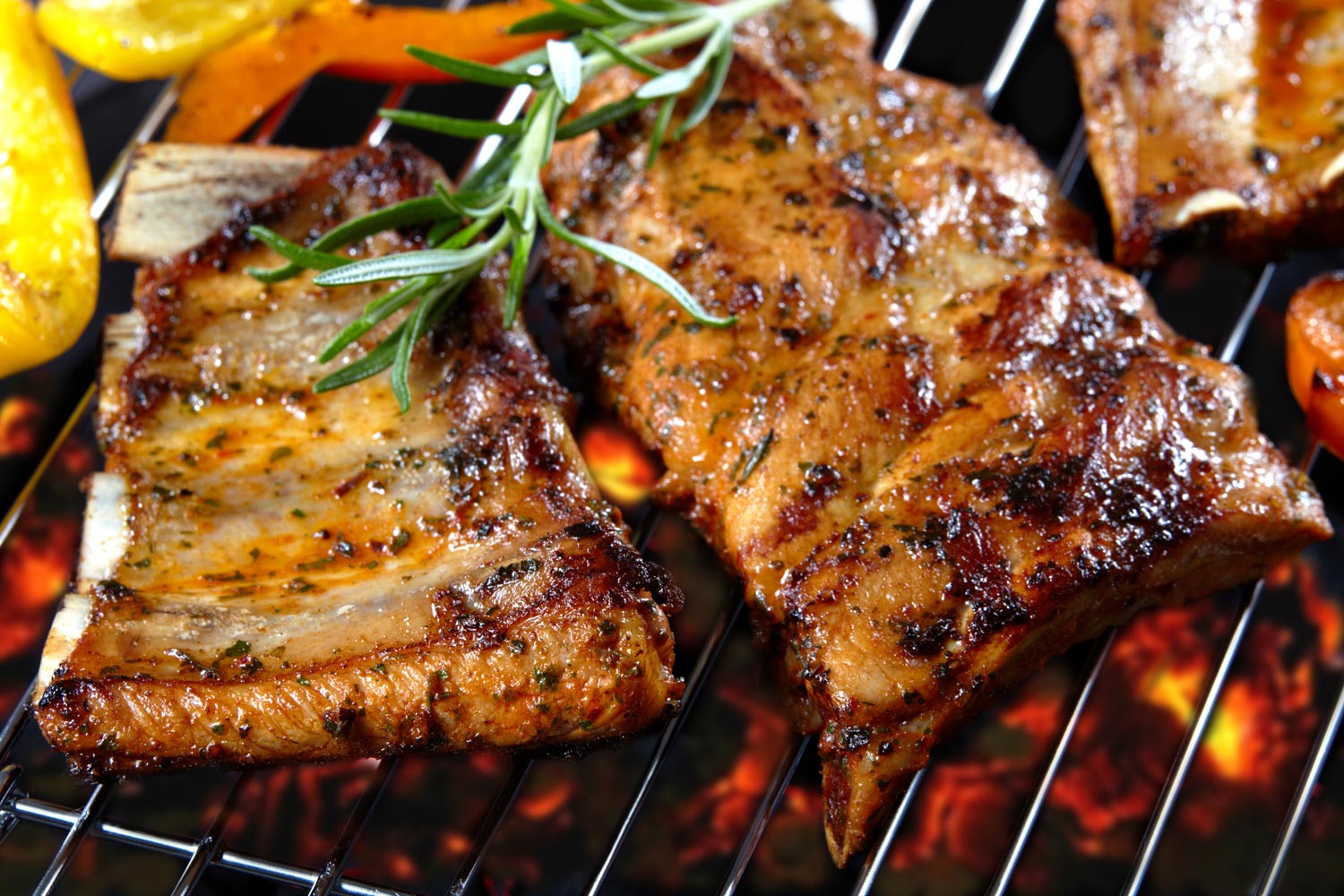 meloen Ongemak mode Welk vlees is het meest geschikt als barbecue vlees? | Slagerij D'haens